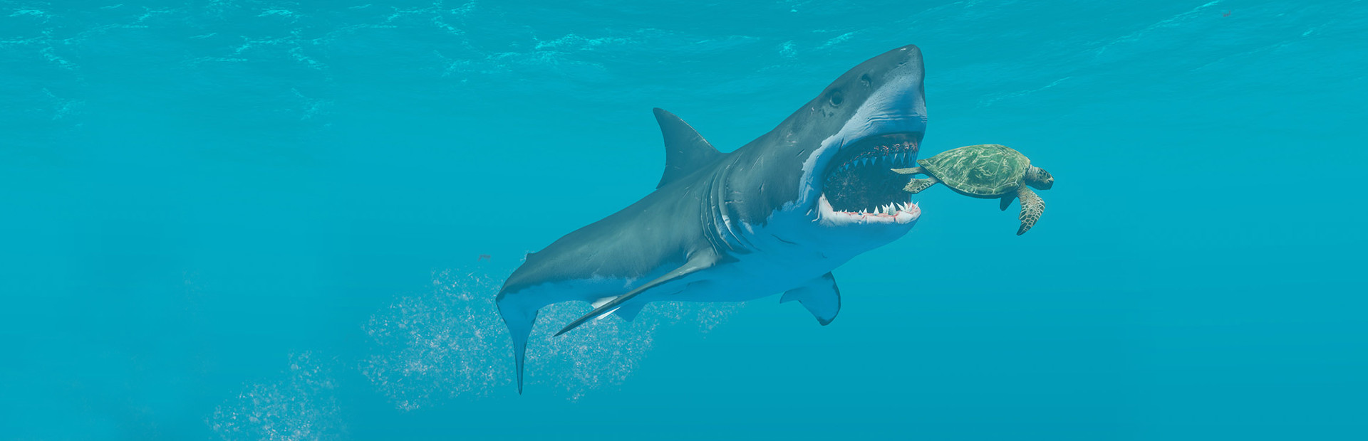 Stranded Deep — український переклад