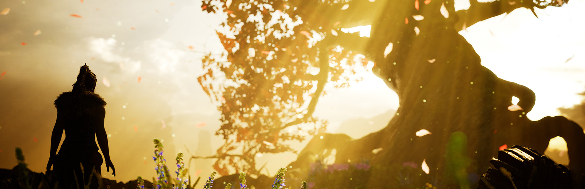 Hellblade: Senua's Sacrifice — український переклад