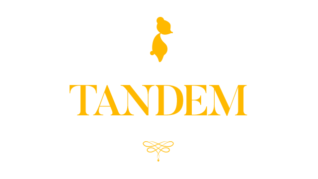 Tandem: A Tale of Shadows